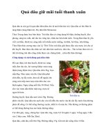 Quả dâu giữ mãi tuổi thanh xuân pdf