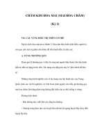 CHÂM KIM HOA MAI (MAI HOA CHÂM) (Kỳ 2) pdf