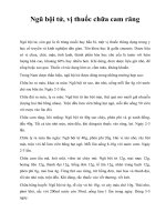 Ngũ bội tử, vị thuốc chữa cam răng pps