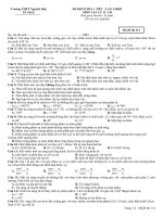 đề thi kiểm tra lý 11 cb -hkII