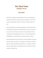 The Third Violet STEPHEN CRANE CHAPTER 3 pptx