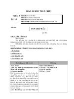 NGỮ VĂN 9 TUẦN 32