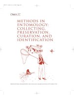 The Insects - Outline of Entomology 3th Edition - Chapter 17 docx