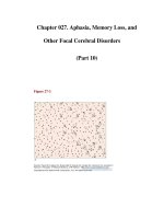 Chapter 027. Aphasia, Memory Loss, and Other Focal Cerebral Disorders (Part 10) potx