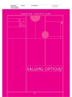 Brealey−Meyers: Principles of Corporate Finance, 7th Edition - Chapter 21 docx