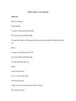 Cấp thẻ Kiểm tra viên điện lực doc