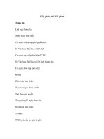 Giấy phép phổ biến phim pptx