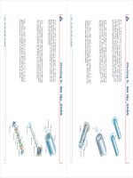 cơ học vật liệu -bài tập xoắn