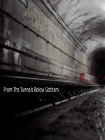 the rootkit arsenal escape and evasion in the dark corners of the system