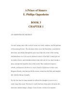 A Prince of Sinners E. Phillips Oppenheim BOOK 3 CHAPTER 1 pptx