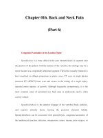 Chapter 016. Back and Neck Pain (Part 6) pps