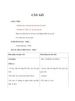 Tự nhiên xã hội lớp 1 - CÂY GỖ doc