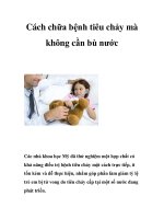 Cách chữa bệnh tiêu chảy mà không cần bù nước pot