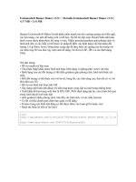 Thiết kế banner với EximiousSoft