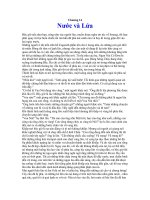 Chúa tể những chiếc nhẩn. Chương 14