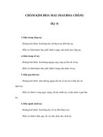 CHÂM KIM HOA MAI (MAI HOA CHÂM) (Kỳ 4) pps