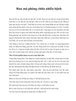 Rau má phòng chữa nhiều bệnh pps