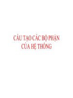 Cấu tạo các bộ phận của hệ thống ô tô pps
