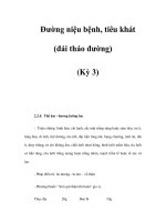 Đường niệu bệnh, tiêu khát (đái tháo đường) (Kỳ 3) pdf