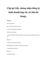 Cấp lại Giấy chứng nhận đăng ký kinh doanh hợp tác xã (khi hư hỏng) pps