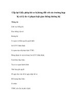 Cấp lại Giấy phép lái xe bị hỏng đối với các trường hợp bị xử lý do vi phạm luật giao thông đường bộ pot