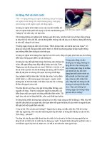 IM LANG, THO VA MIM CUOI