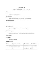 Giáo án Tiếng anh lớp 3 - LESSON PLAN UNIT 12: OUR PETS / Section B (4,5,6,7) potx