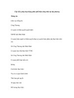 Cấp Giấy phép hoạt động phân phối điện nông thôn tại địa phương docx