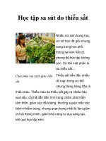 Học tập sa sút do thiếu sắt doc