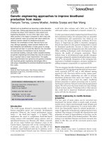 Genetic engineering approaches to improve bioethanol production from maize ppt