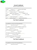 exercises of conditional sentences