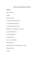 Cấp Giấy xác nhận mất quốc tịch Việt Nam pdf