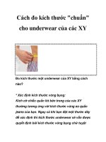 Cách đo kích thước 