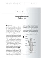 Linzey - Vertebrate Biology - Chapter 1 ppsx