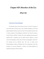 Chapter 029. Disorders of the Eye (Part 16) pps