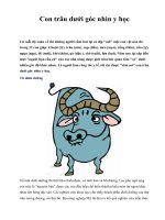 Con trâu dưới góc nhìn y học pot