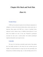 Chapter 016. Back and Neck Pain (Part 11) doc