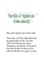 tìm hiểu về nghiên cứu tế bào nầm (tt) pdf