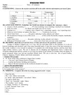 English test (N4) Grade 8