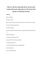 Thẩm tra cấp Giấy chứng nhận đầu tư cho dự án đầu tư thuộc thẩm quyền chấp thuận của Thủ tướng Chính phủ gắn với thành lập chi nhánh docx