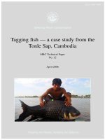 Tagging fish — a case study from the Tonle Sap, Cambodia pptx
