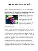 Mộc nhĩ, nấm hương làm thuốc ppt