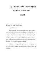 LỘ TRÌNH VÀ HỘI CHỨNG BỆNH CỦA 12 KINH CHÍNH (Kỳ 14) pdf
