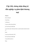 Cấp Giấy chứng nhận đăng ký dấu nghiệp vụ giám định thương mại ppsx