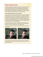 Adobe Flash chuyên nghiệp - p 10 potx