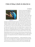 Chữa trĩ bằng vị thuốc từ chim bói cá pptx