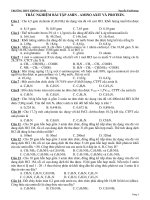 bai tap trac nghiem chuong amin