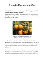 Quả quất phòng bệnh mùa đông pot