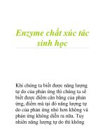 Enzyme chất xúc tác sinh học ppsx