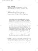 The Ecology of the Cambrian Radiation - Andrey Zhuravlev - Chapter 21 doc